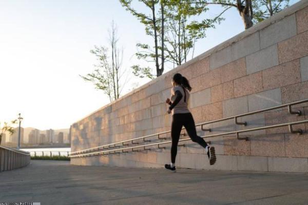 体育项目培训主管部门职能解析