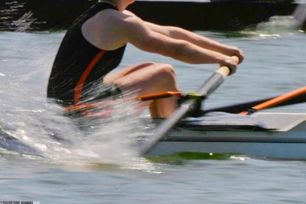 德艺体育艺术培训机构的声誉与课程设置