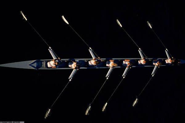 格斗类体育运动项目汇总及介绍